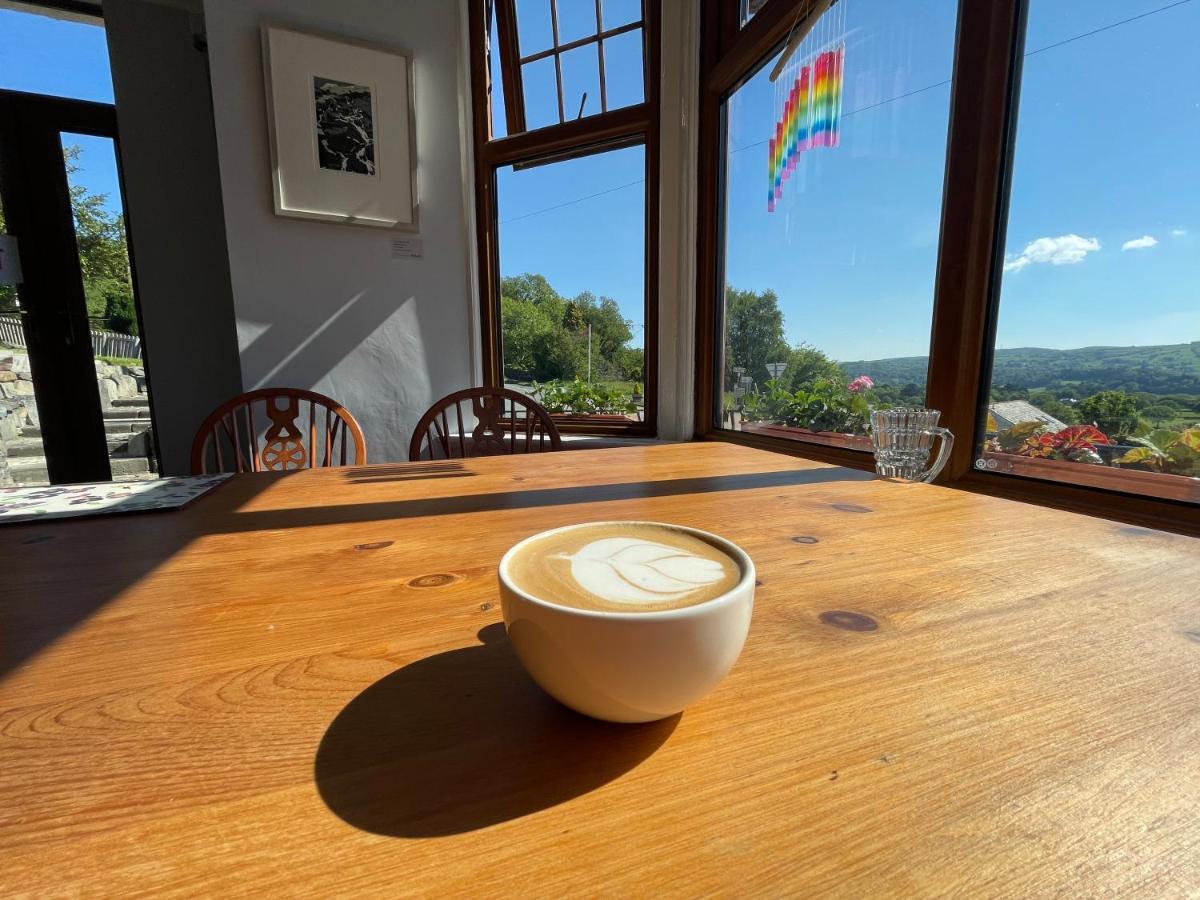 Bed and Breakfast Y Llew Coch Conwy Exteriér fotografie